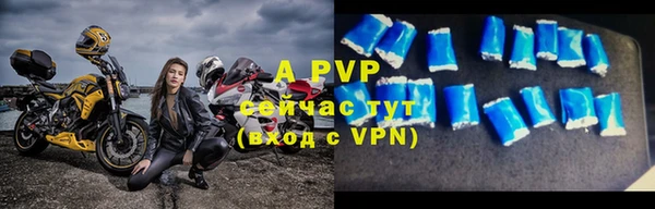 молекула духа Богородицк