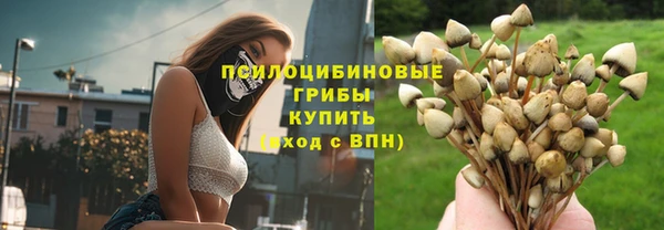 спиды Богданович