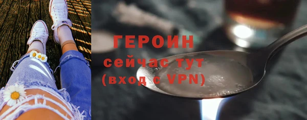 молекула духа Богородицк