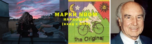 молекула духа Богородицк