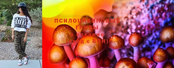 спиды Богданович