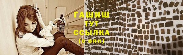 молекула духа Богородицк