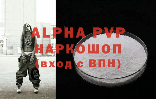 молекула духа Богородицк