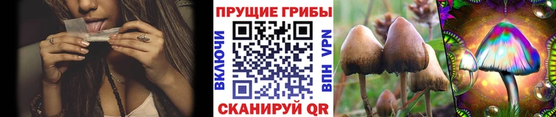 Псилоцибиновые грибы прущие грибы  купить наркоту  Иланский 